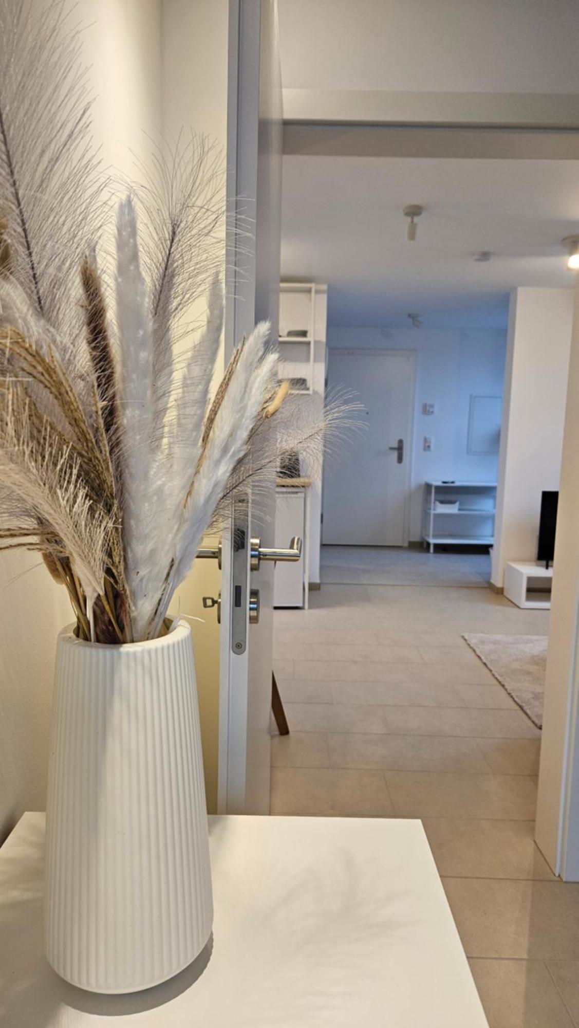 האלשטדט Ferienwohnung As 5 One & Two Bamberg - Modern In Ruhiger Lager Mit Balkon מראה חיצוני תמונה